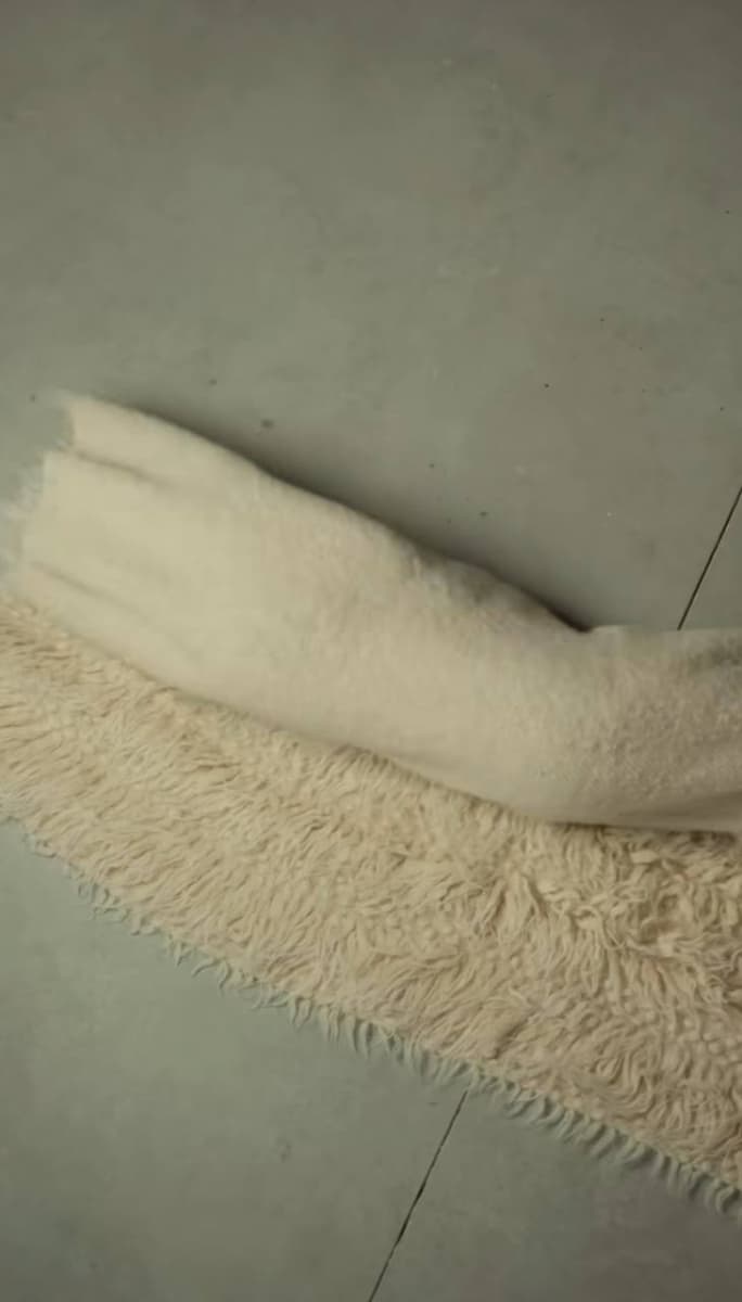 Carpet-2