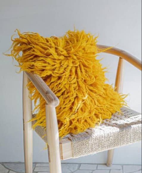 Cushion