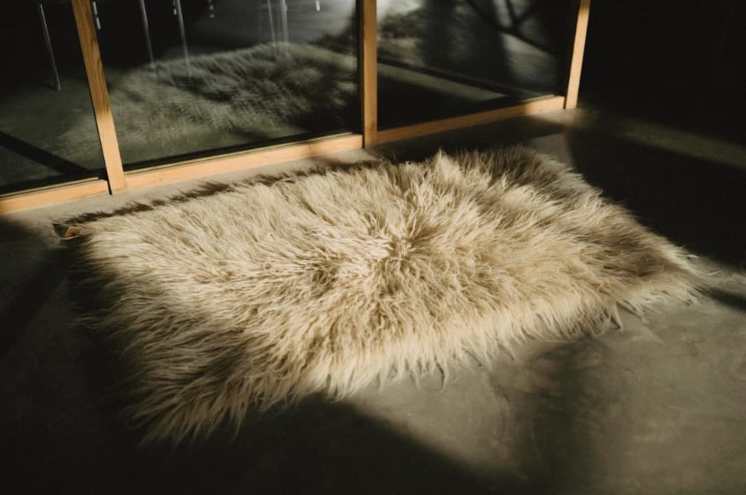 Carpet